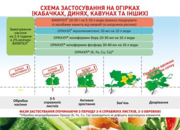 1909А ваші рослини задоволені своїм раціоном?