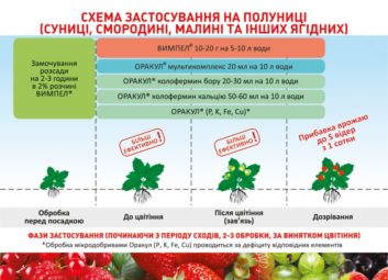 1919А ваші рослини задоволені своїм раціоном?