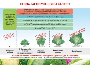 1905А ваші рослини задоволені своїм раціоном?