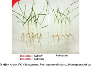 1597Группа компаний «Долина» ищет надежных партнеров в Республике Беларусь