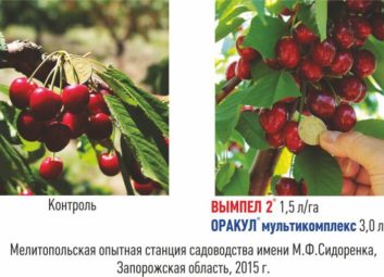 1749Группа компаний «Долина» ищет надежных партнеров на территории Азербайджана