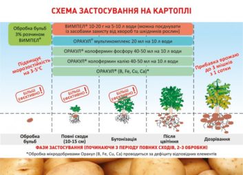 1911А ваші рослини задоволені своїм раціоном?