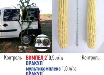 1516Універсальна технологія підвищення врожайності та якості сільськогосподарських культур