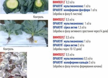 1547Універсальна технологія підвищення врожайності та якості сільськогосподарських культур