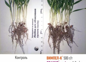 1528Універсальна технологія підвищення врожайності та якості сільськогосподарських культур