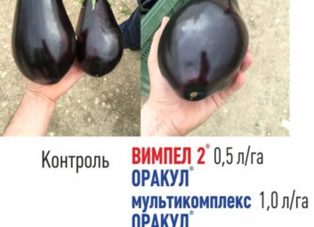 1543Універсальна технологія підвищення врожайності та якості сільськогосподарських культур