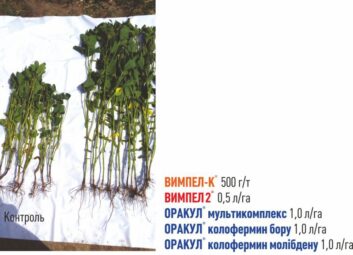 1524Універсальна технологія підвищення врожайності та якості сільськогосподарських культур