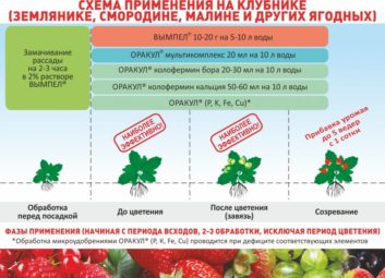 7455А ваши растения довольны своим рационом?