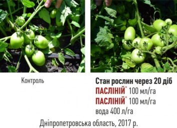2495ПАСЛІНІЙ – препарат для підвищення зав’язування плодів пасльонових культур