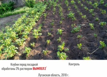 7660ВЫМПЕЛ 2 — надежная защита от весенних заморозков