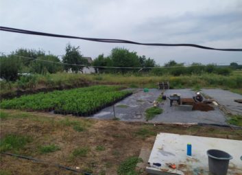 2802Компанія DOLINA допомагає отримати щедрий урожай ягідних культур