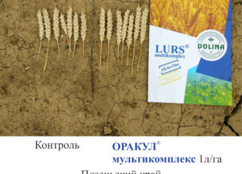 2933Рекомендации по обработке озимых культур в период осенней вегетации