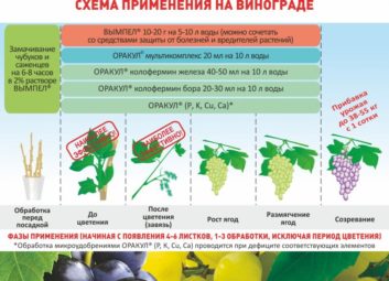 7451А ваши растения довольны своим рационом?