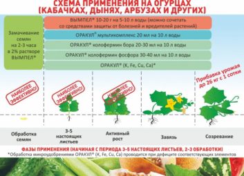7445А ваши растения довольны своим рационом?