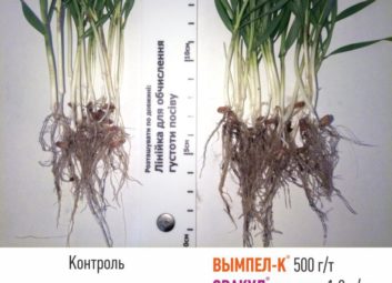 7573Универсальная технология повышения урожайности и качества сельскохозяйственных культур