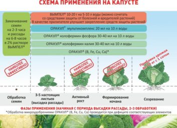 7441А ваши растения довольны своим рационом?
