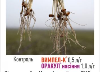 2734Обробка насіння озимих культур як ефективний спосіб підвищення врожайності та зимостійкості рослин