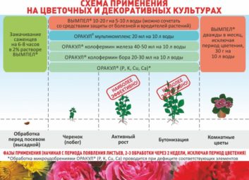7457А ваши растения довольны своим рационом?