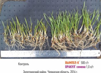 7571Универсальная технология повышения урожайности и качества сельскохозяйственных культур