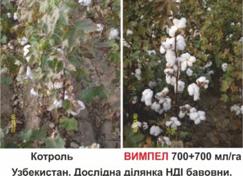 2585ВИМПЕЛ 2 – надійний захист від весняних заморозків