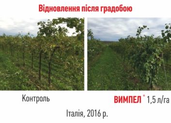2599ВИМПЕЛ 2 – надійний захист від весняних заморозків