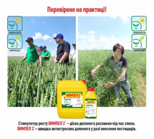 Технология от компании "Долина" - высокие урожаи всегда