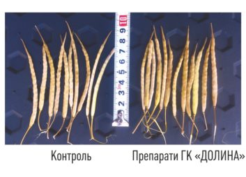 2700Обробка насіння сільськогосподарських культур ефективними препаратами збільшить врожайність