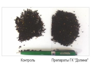 7539Обработка семян сельскохозяйственных культур эффективными препаратами увеличит урожайность