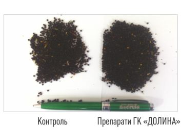 2704Обробка насіння сільськогосподарських культур ефективними препаратами збільшить врожайність