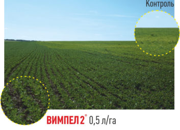 2583ВИМПЕЛ 2 – надійний захист від весняних заморозків