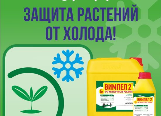 vimpel2_krioprotector_1__ru