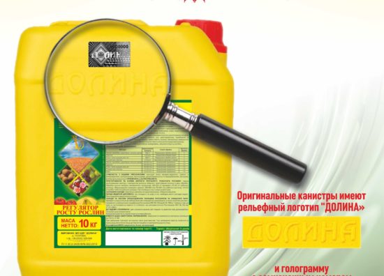 258х316_ru_ (8)