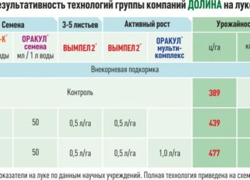 6783Лук (чеснок)