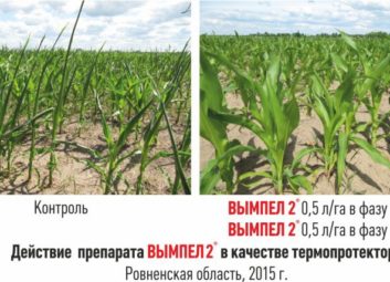 4788Группа компаний «Долина» ищет надежных партнеров на территории Казахстана