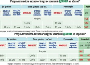 6552Плодові (яблуня)
