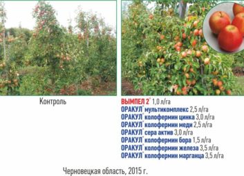 4808Группа компаний «Долина» ищет надежных партнеров на территории Казахстана