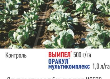 5026Прибыльная технология высокой урожайности от ГК Долина эффективно используется в Казахстане