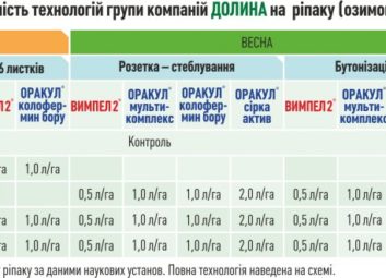 6293Ріпак