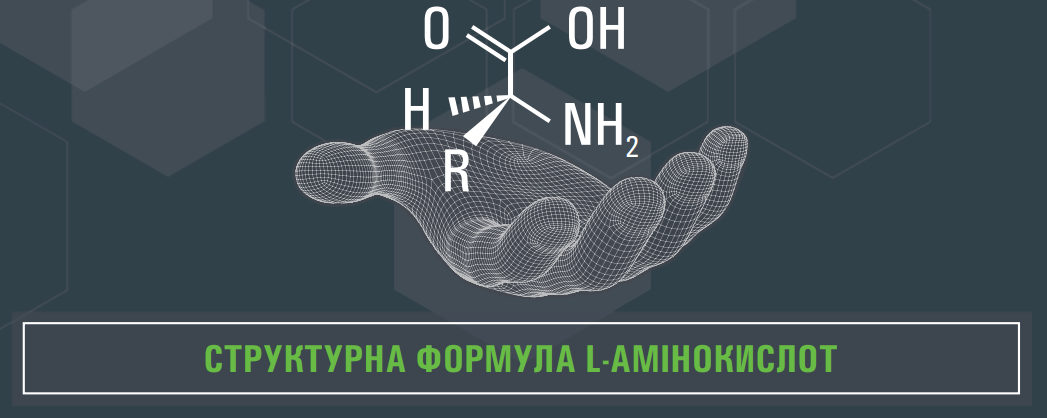 Структурна формула L-амінокислот