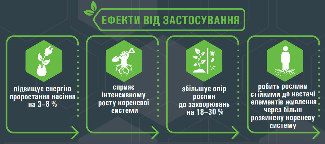 Оракул насіння ефекти застосування