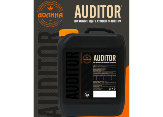 auditor-news