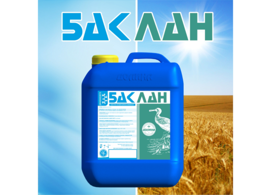 baklan-news