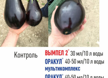 11897Томат (перец, баклажан и др.)