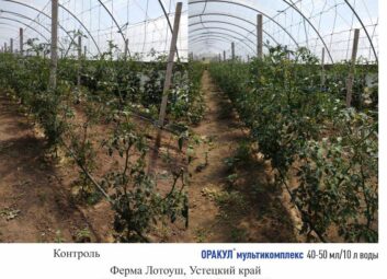 11903Томат (перец, баклажан и др.)