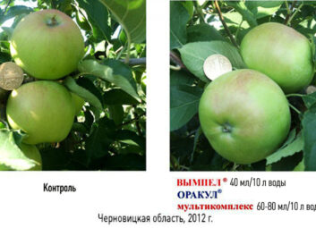 11848Плодовые (яблоня, вишня и др.)