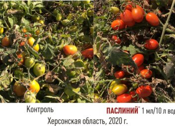 11905Томат (перец, баклажан и др.)