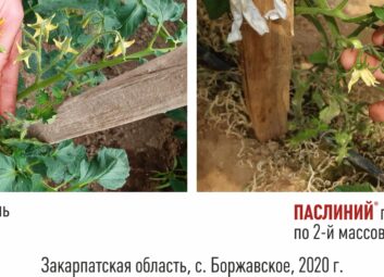 11911Томат (перец, баклажан и др.)