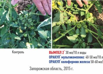11915Томат (перец, баклажан и др.)