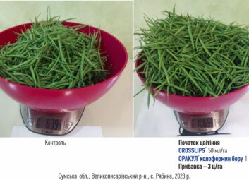 12266Ріпак