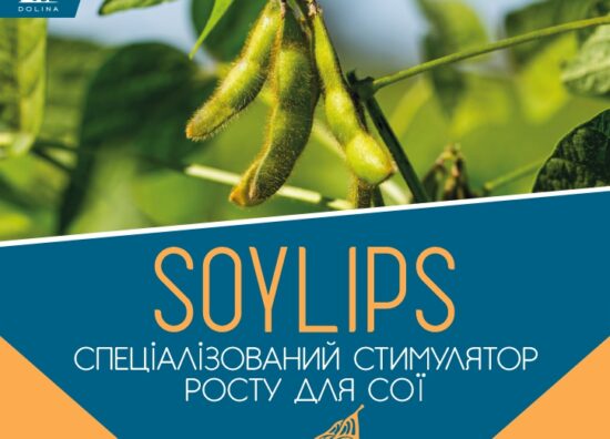 Анонс Soylips 1-